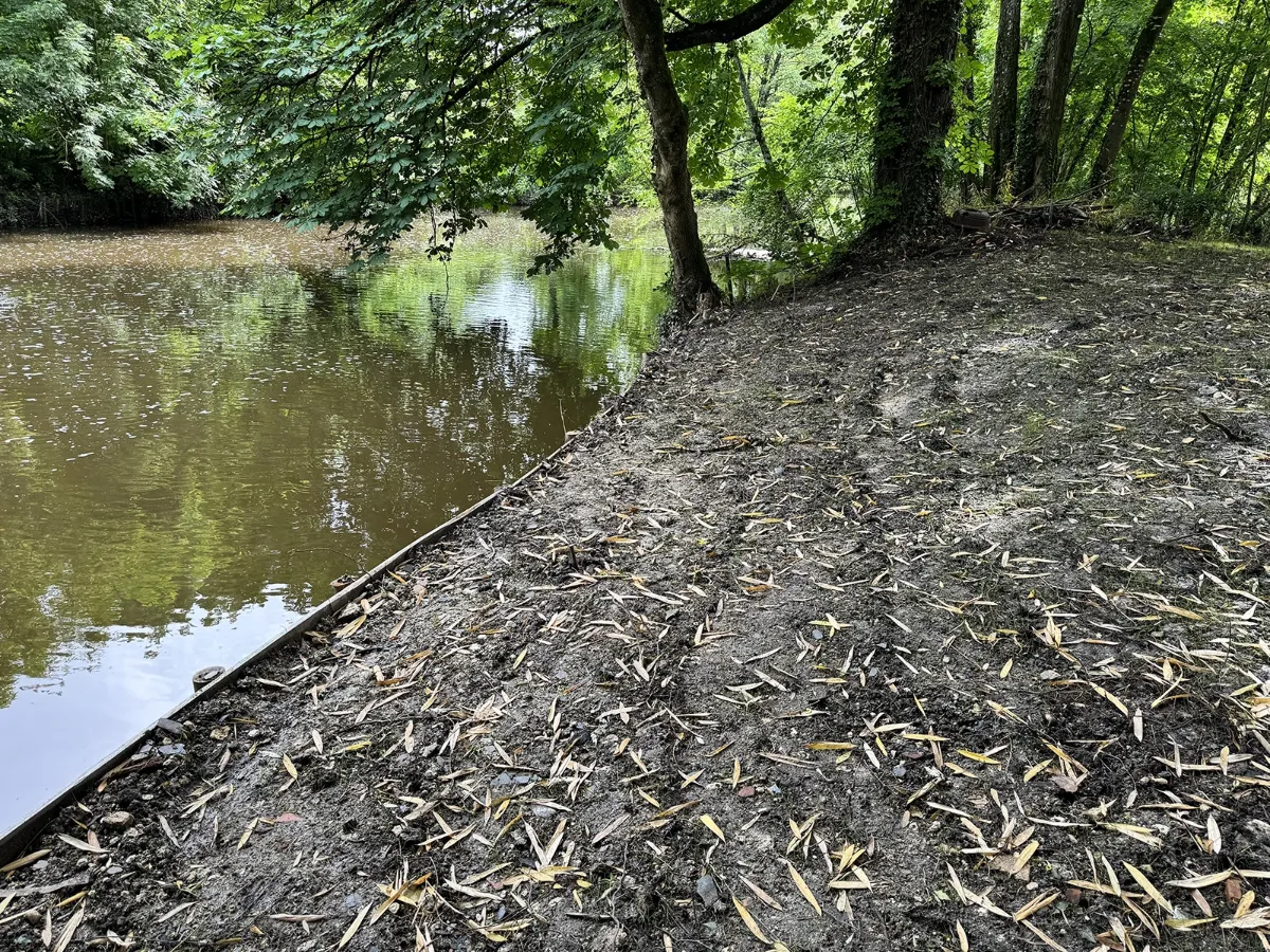 Berge reprofilée et nivelée, terre nue jonchée de feuilles au bord de l'eau