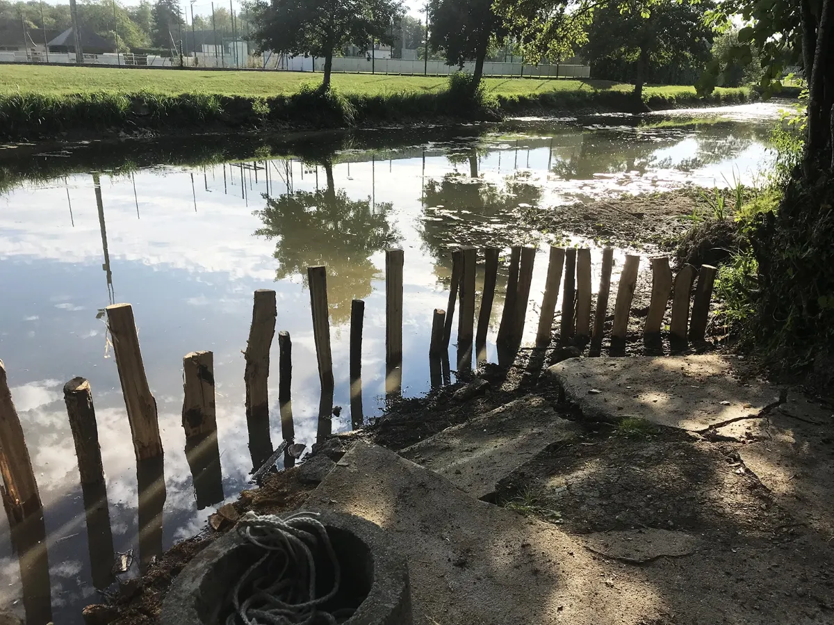 Alignement de pieux de bois fraîchement battus dans le lit de la rivière, reflets de ciel