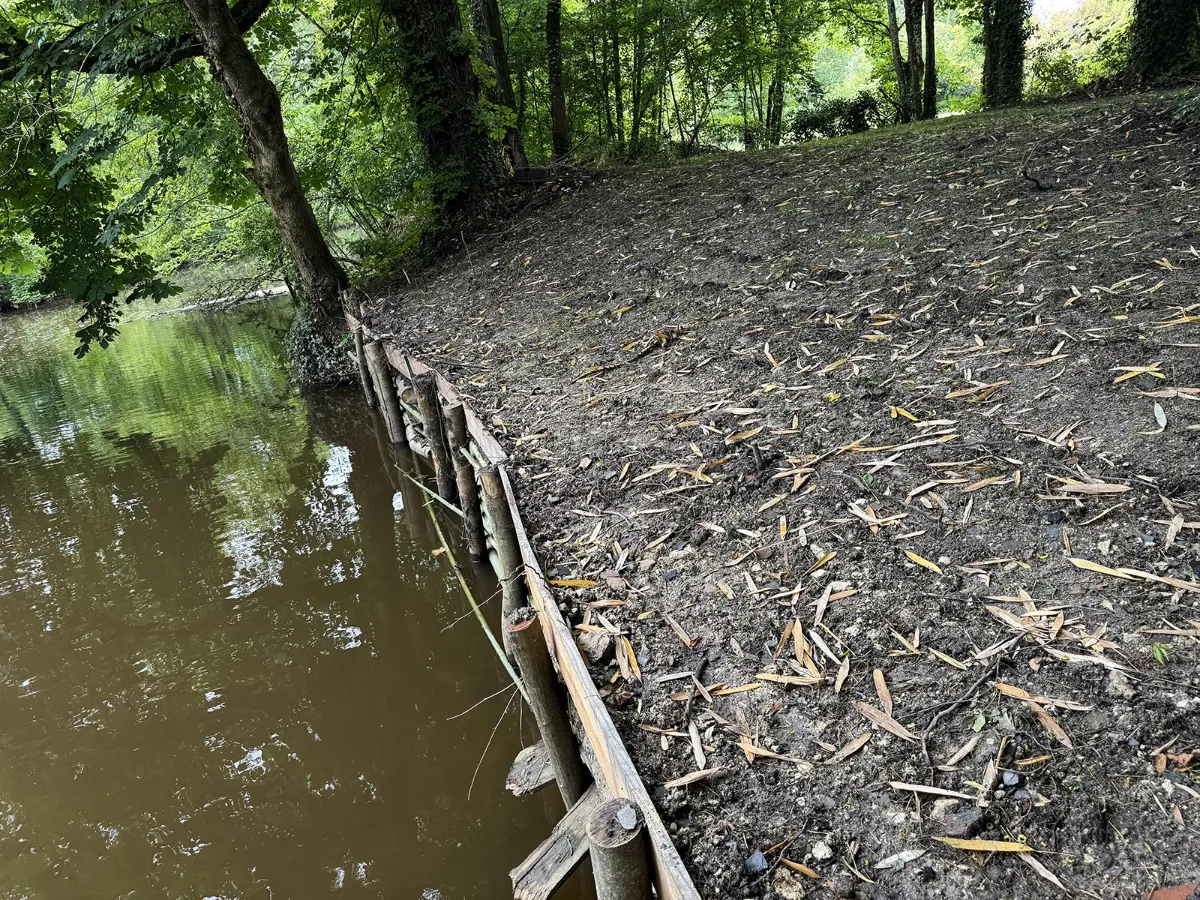 Tunage de rondins retenant la terre d'une berge reconstituée, le long de la rivière