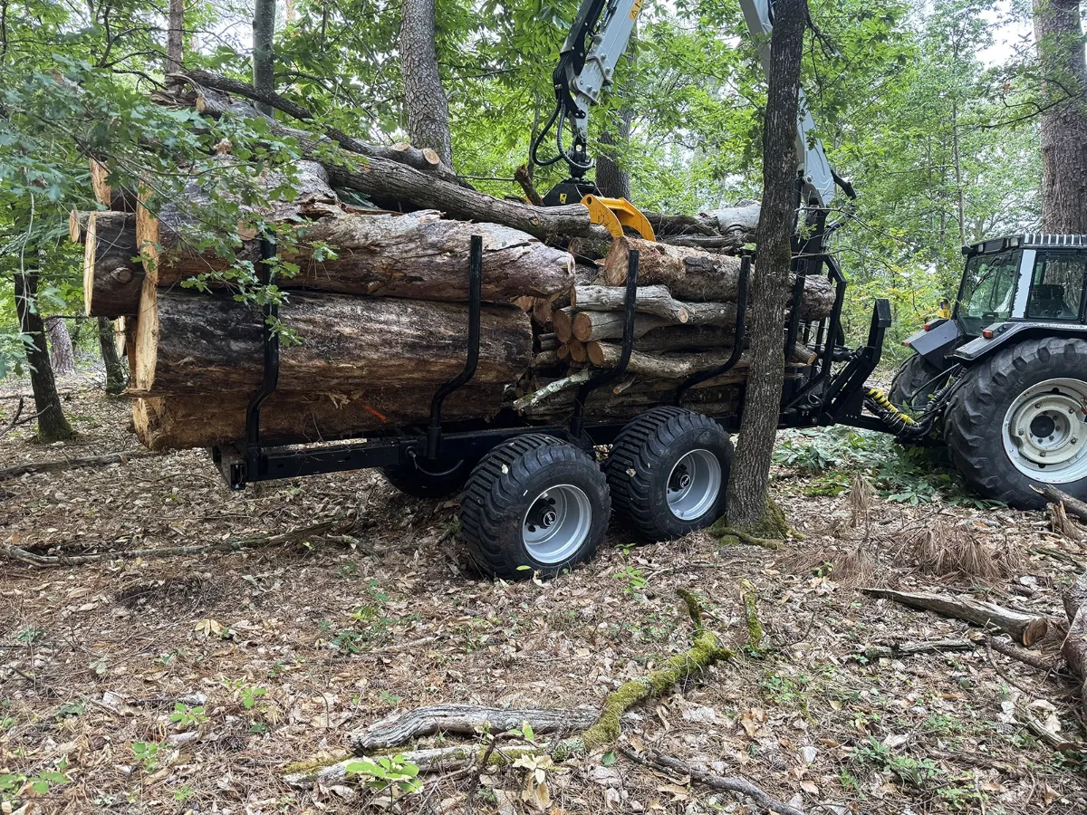 Grosses grumes empilées sur une remorque forestière, vues de près en sous-bois