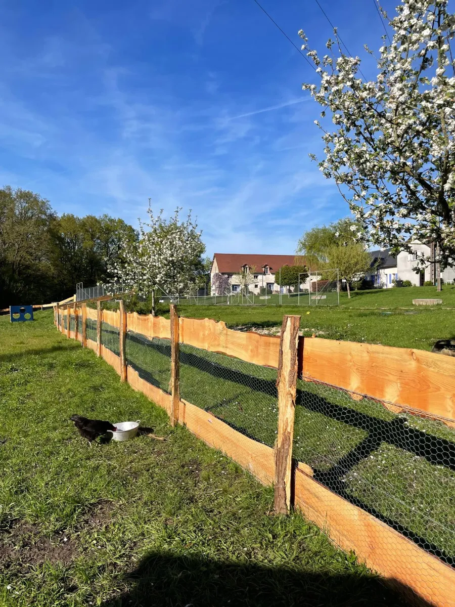 Clôture d'enclos en lisses de bois doublées de grillage fin, sur poteaux de châtaignier, au printemps