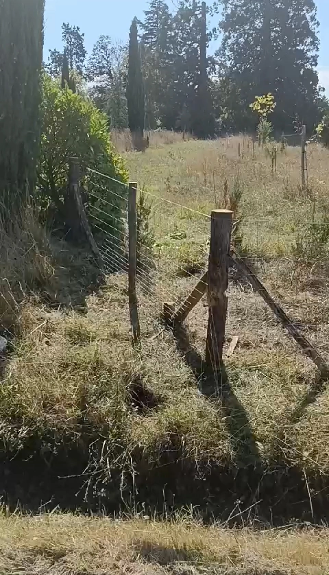 Poteau de châtaignier et sa jambe de force tendant un grillage en bordure de prairie
