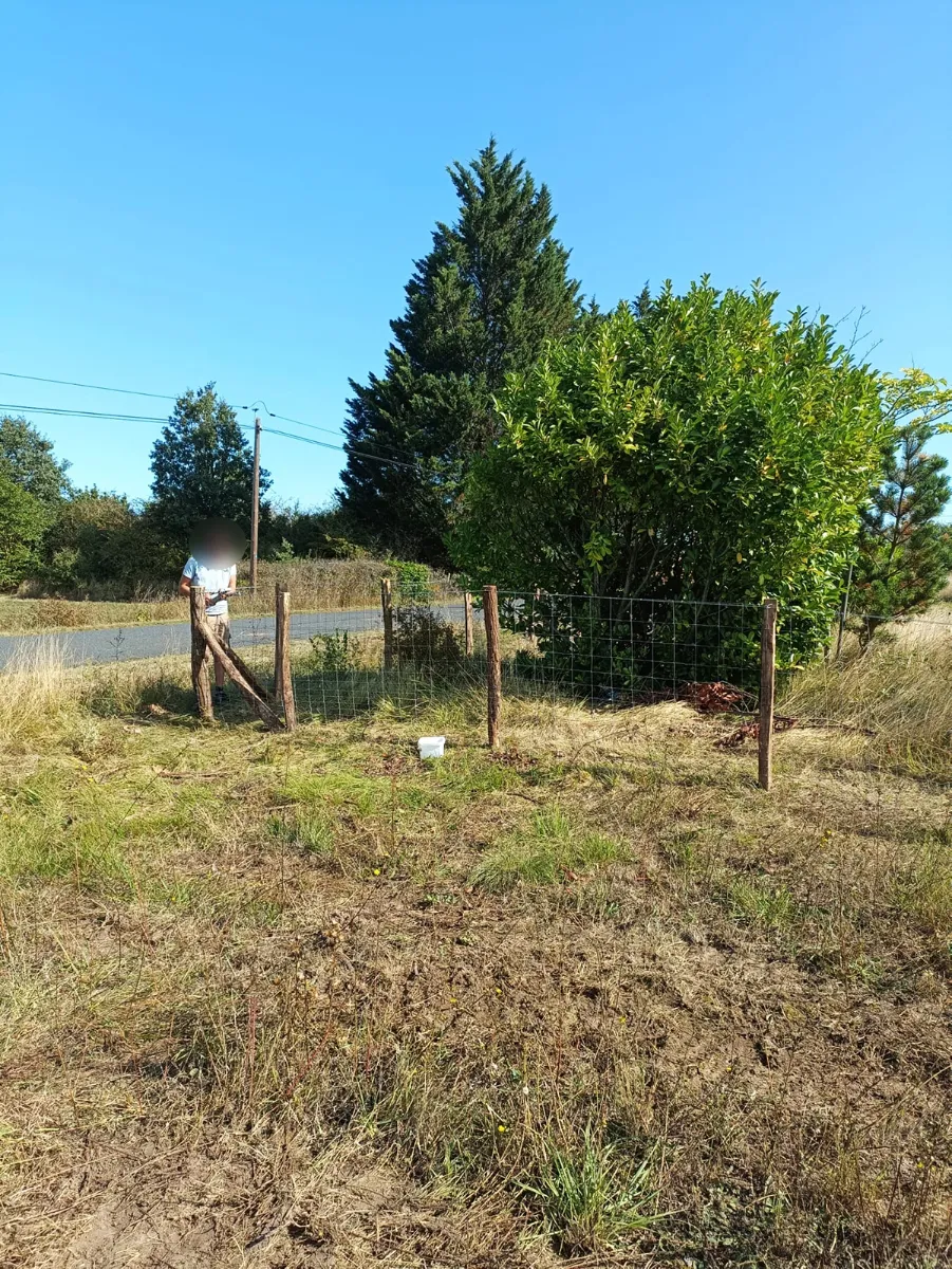 Clôture en grillage avec portillon bois en bordure de route, sous un ciel d'été