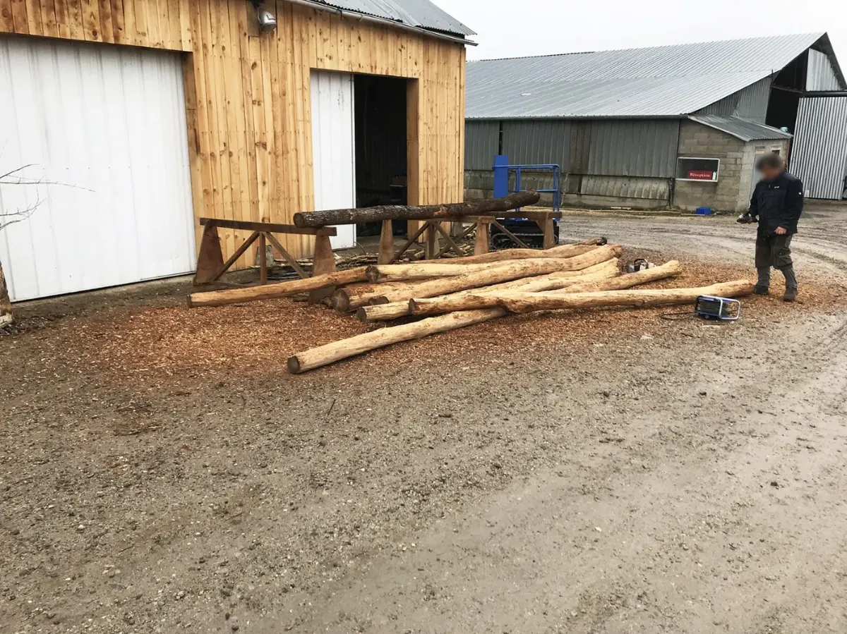 Poteaux de bois écorcés déchargés au dépôt devant le hangar bardé, copeaux au sol