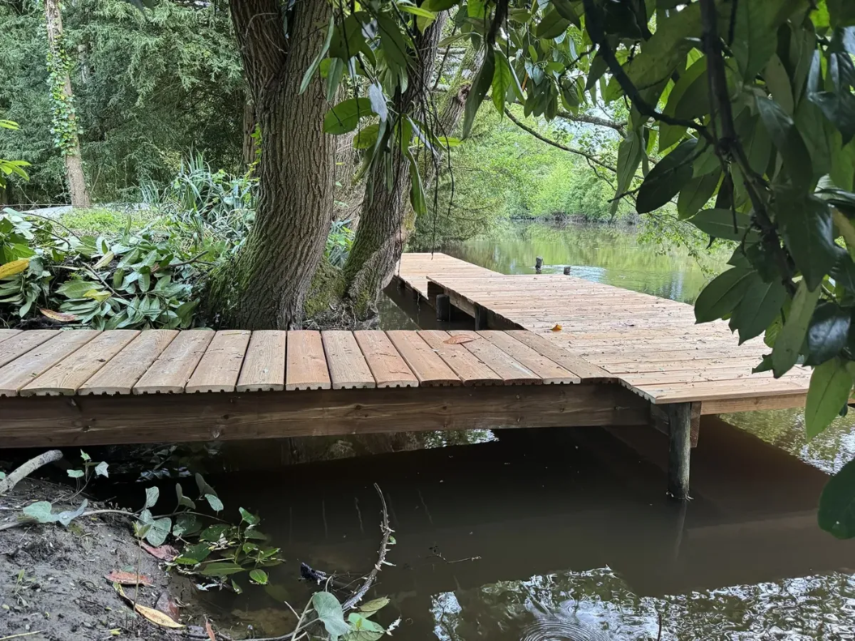Ponton en bois contournant le tronc d'un arbre au bord d'une rivière, vue d'ensemble