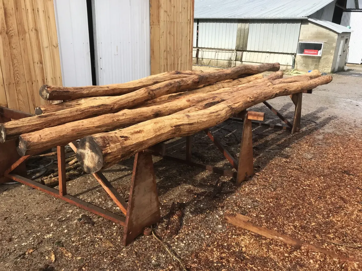 Poteaux de bois écorcés posés sur tréteaux métalliques au dépôt, prêts pour l'aire de jeux