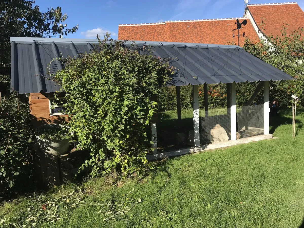 Long poulailler en ossature bois couvert de bac acier, adossé à une haie, dans un verger