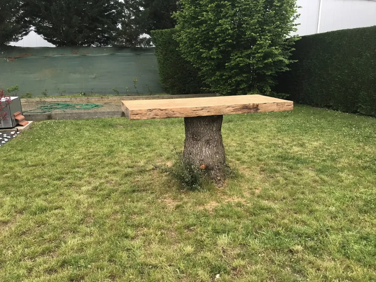 Table de jardin faite d'une épaisse dalle de chêne posée sur une souche d'arbre restée en terre