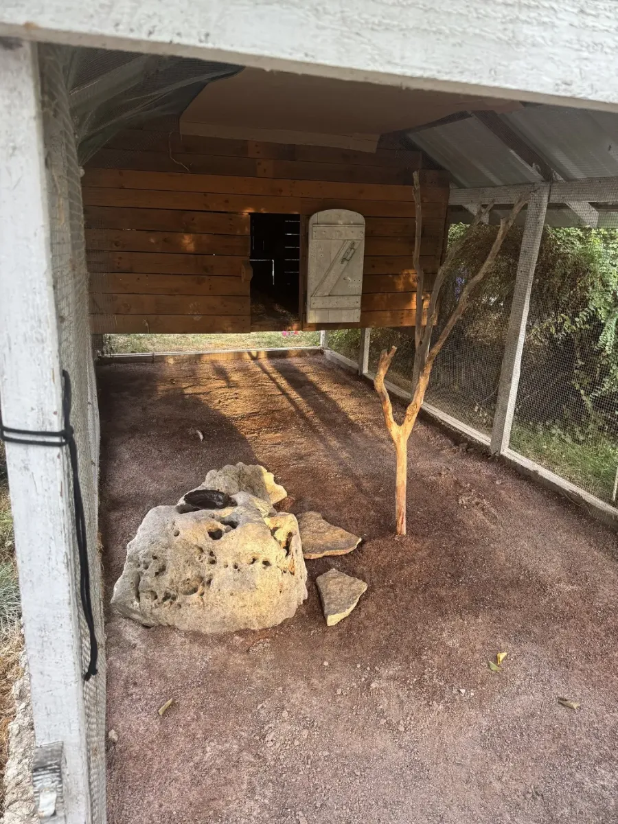 Intérieur d'une volière en bois : trappe d'accès, perchoir naturel et gros bloc de pierre sur sol de terre