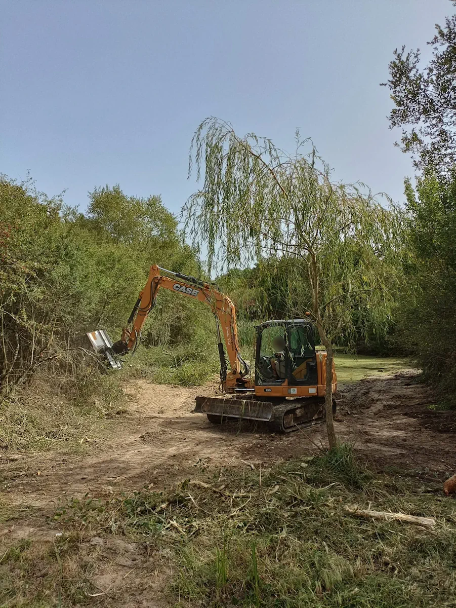 Pelle mécanique et broyeur forestier dégageant la lisière au bord de l'étang, saule conservé
