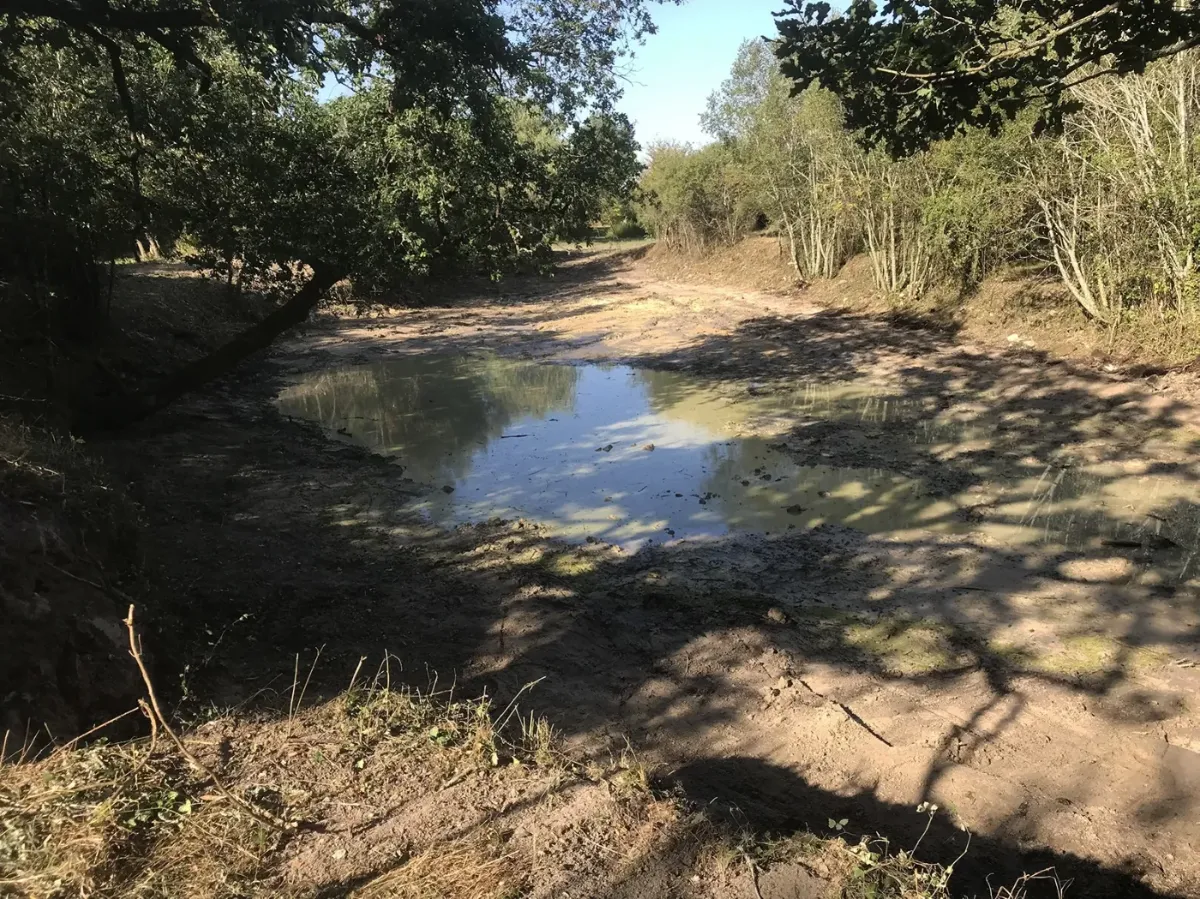 Fond d'étang curé où l'eau revient lentement, berges reprofilées et talus dégagés