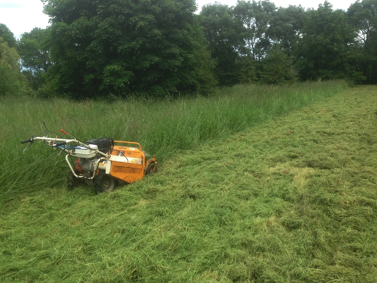 Débroussailleuse autotractée avançant en lisière de bois, large andain d'herbe coupée à droite