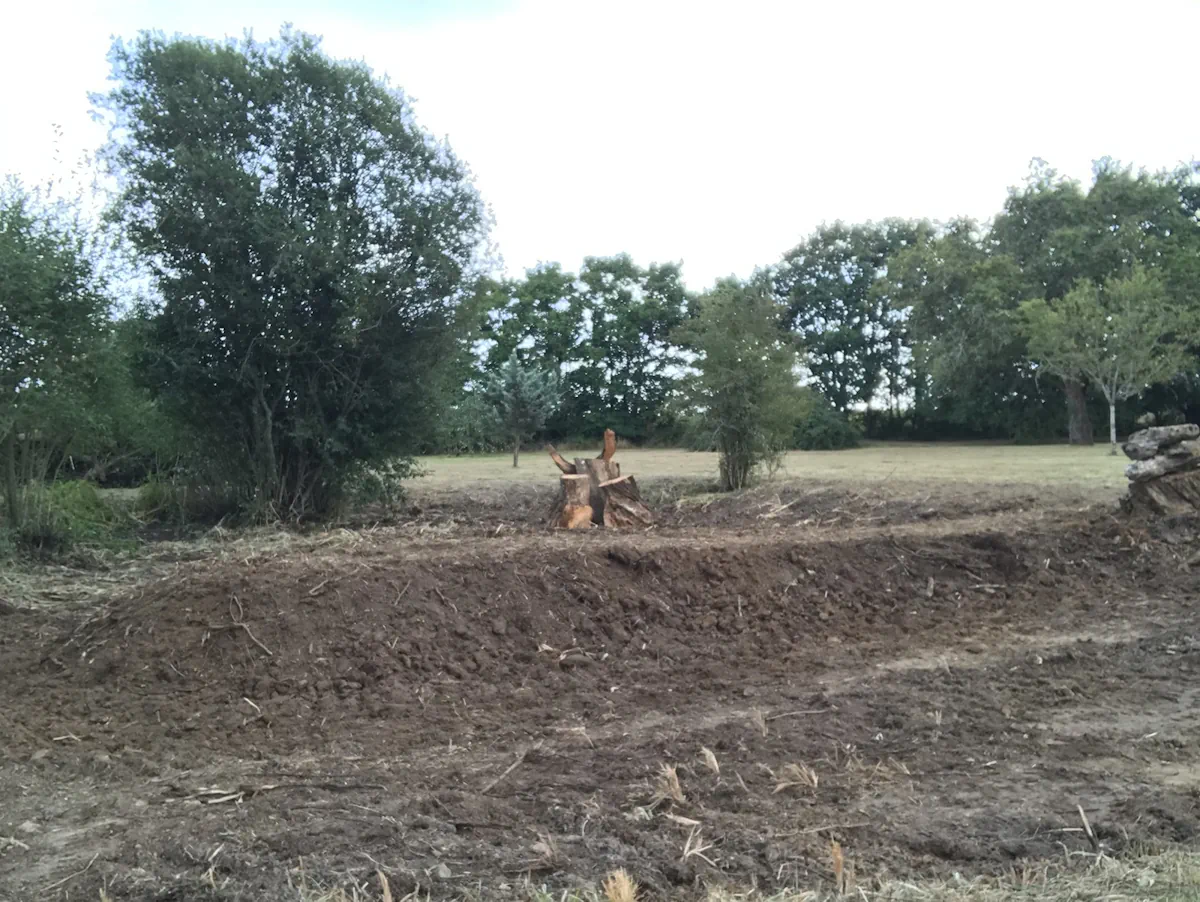 Terre nivelée et souche laissée en place après dessouchage, en bordure de prairie