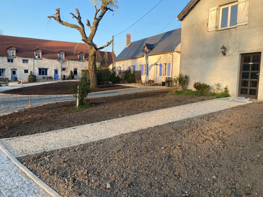 Vieux saule têtard conservé au milieu d'une cour de longère dont les allées viennent d'être refaites