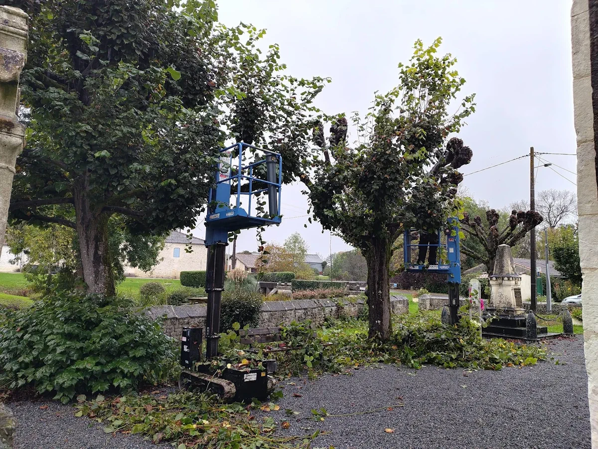 Deux nacelles chenillées taillant les arbres têtards d'une place de village, près de l'église et du monument aux morts