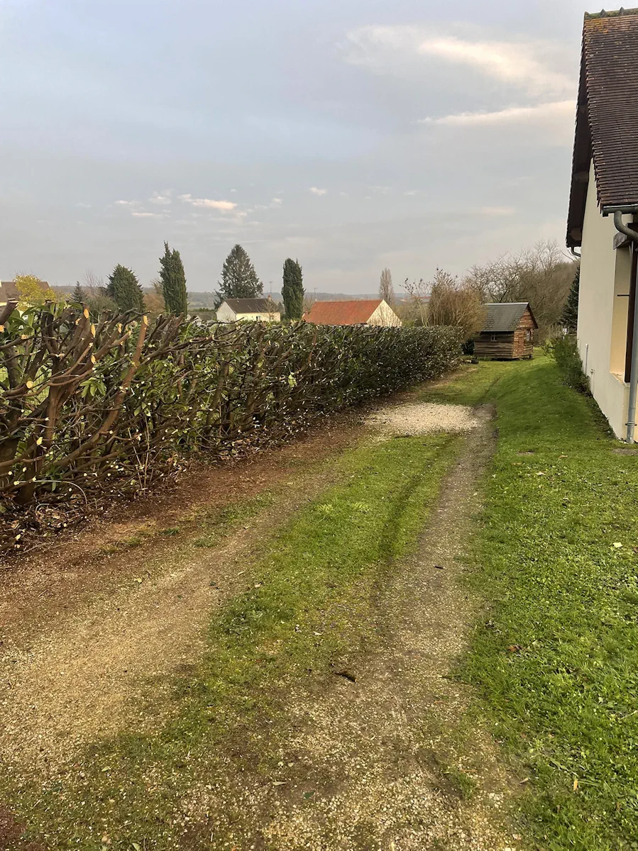 Haie rabattue bordant un chemin de gravier, maison et abri de bois en arrière-plan