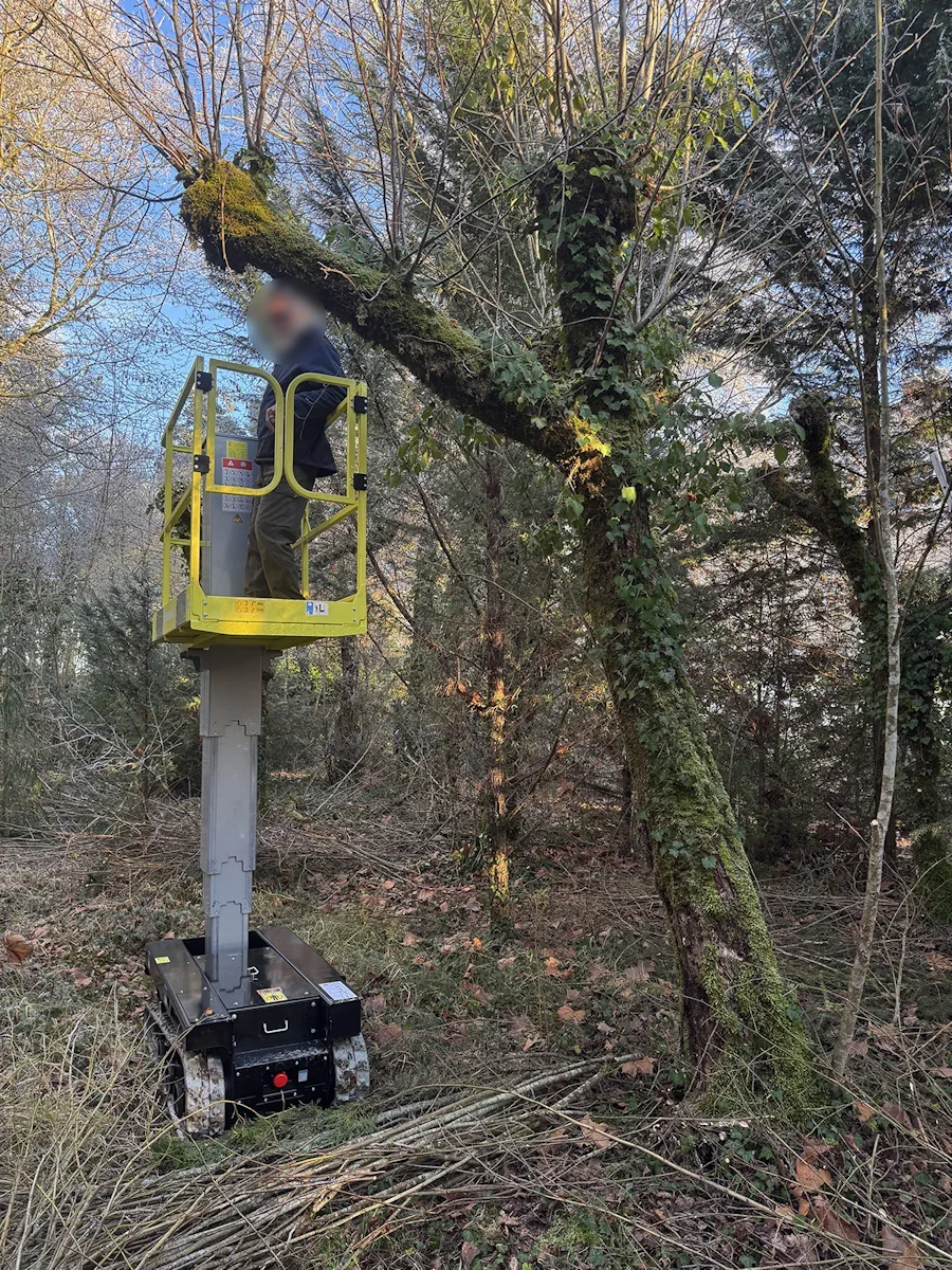 Compagnon en nacelle chenillée s'attaquant à une grosse branche moussue, en sous-bois d'hiver