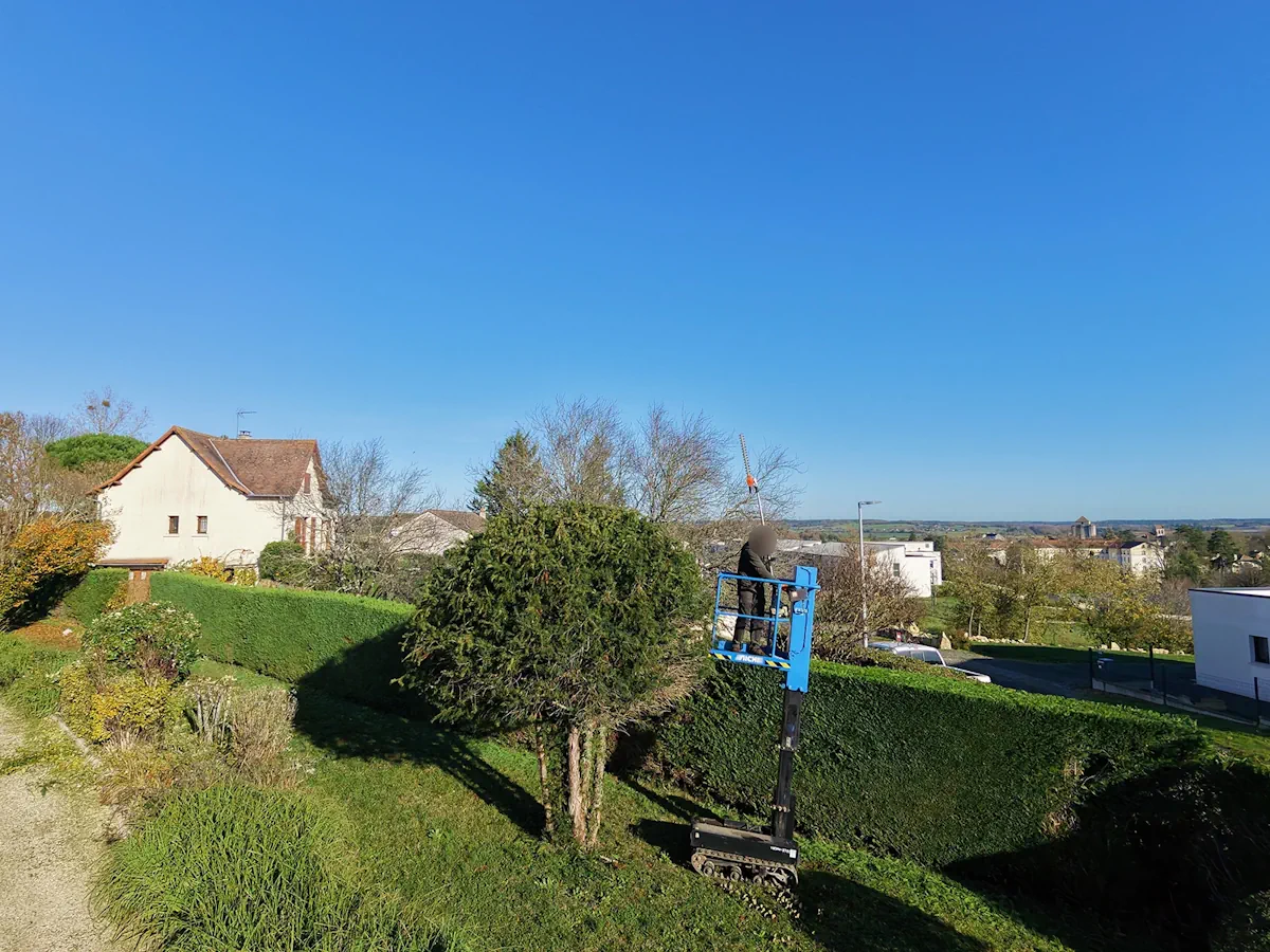 Nacelle chenillée bleue taillant une haie en surplomb, vue dégagée sur le bourg et la campagne