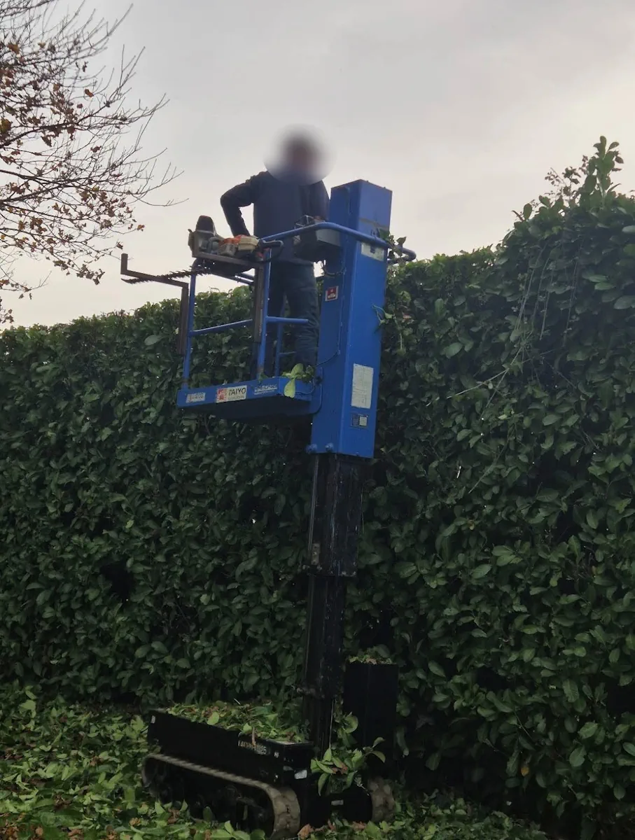 Compagnon taillant le haut d'une haie de laurier depuis une nacelle chenillée bleue