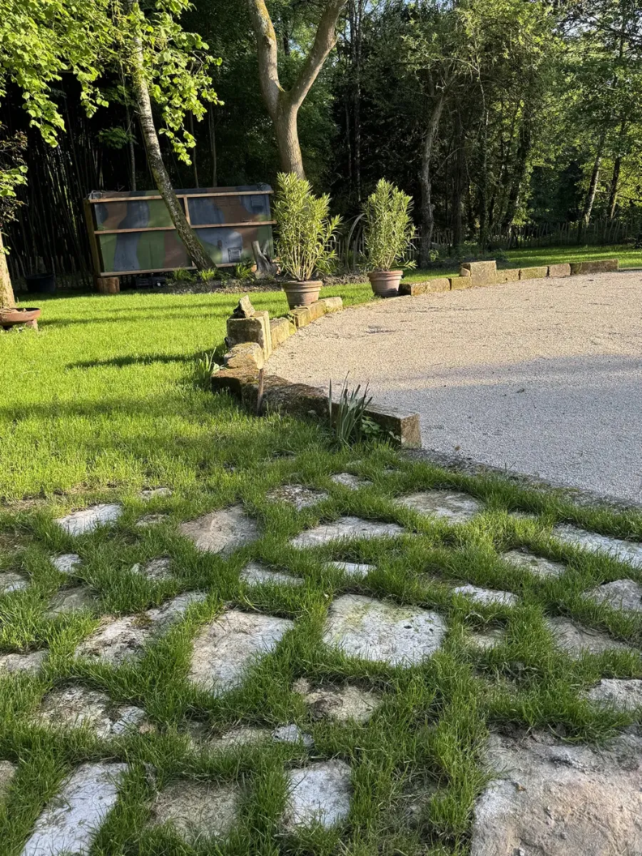 Herbe levée entre les dalles d'un ancien pavage, le long d'une allée de gravier