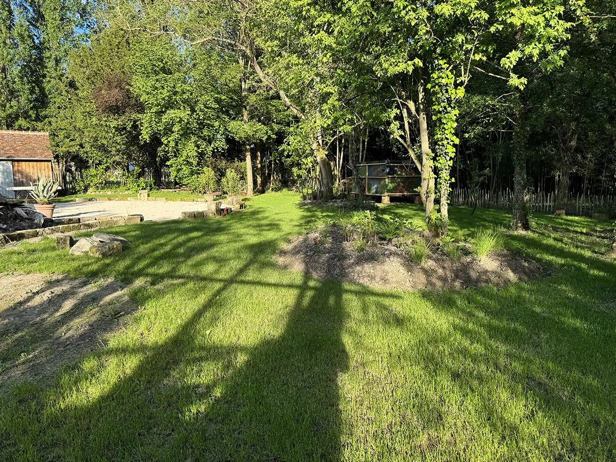 Jeune gazon bien levé sous l'ombre portée des arbres, en fin de journée