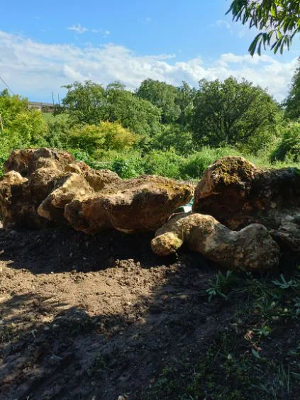 Alignement de blocs calcaires posés en lisière boisée, terre retournée au premier plan
