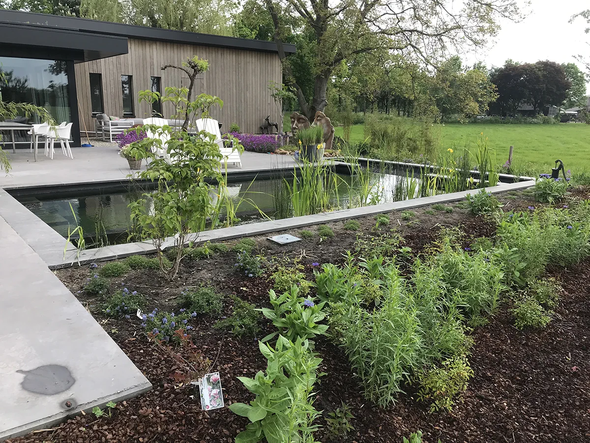 Massif de vivaces fraîchement planté et paillé le long d'un bassin de baignade, devant une maison en bois