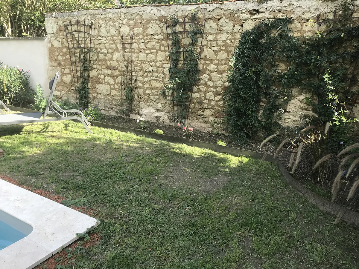 Rosiers et jasmins palissés sur des treillages métalliques contre un mur de pierre, au bord d'une piscine