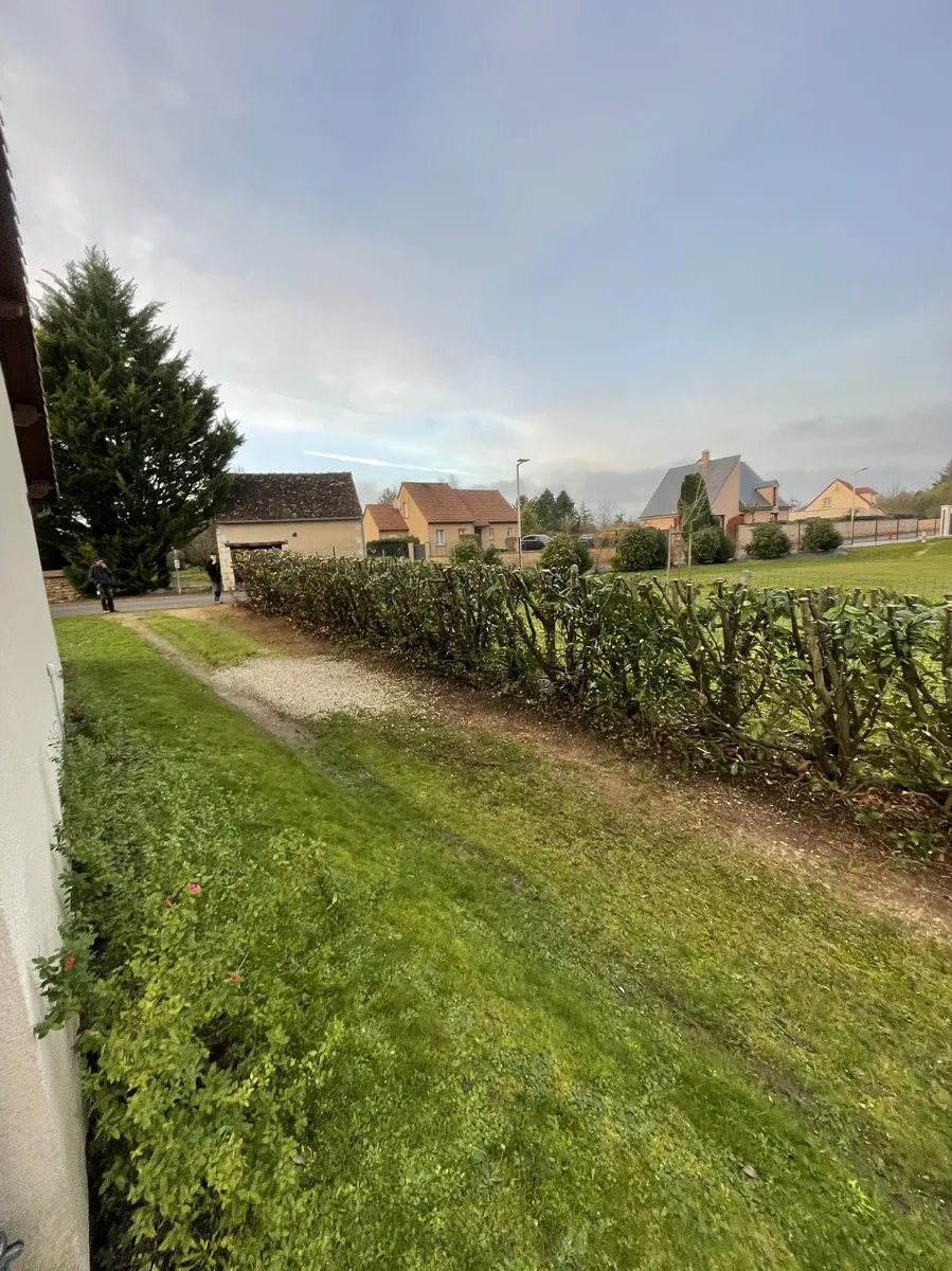 Haie rabattue sur charpente en limite de terrain, branches coupées au sol, hameau en arrière-plan