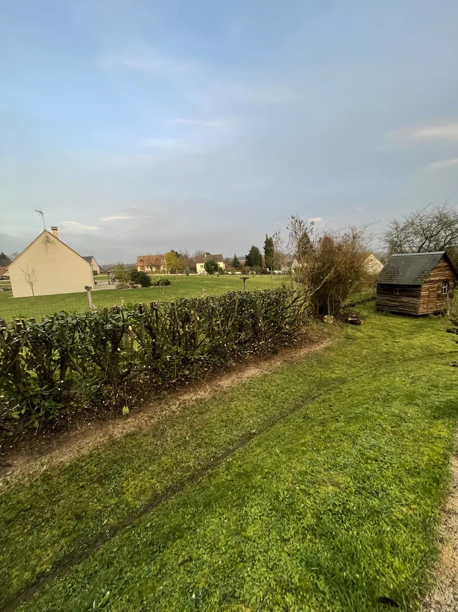 Haie rabattue en limite de propriété, cabane de bois et pelouse au premier plan