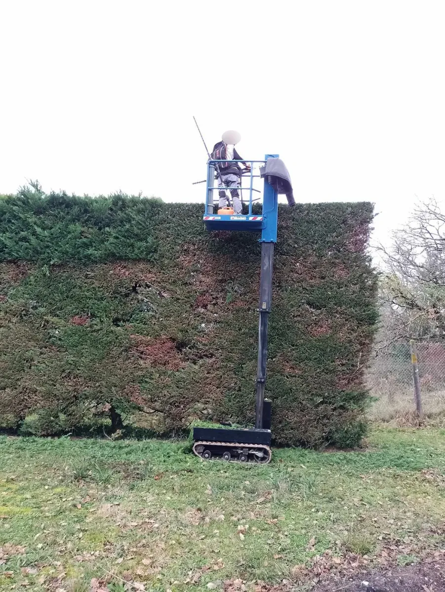 Compagnon taillant le sommet d'une haie de thuyas depuis une nacelle verticale chenillée, en hiver