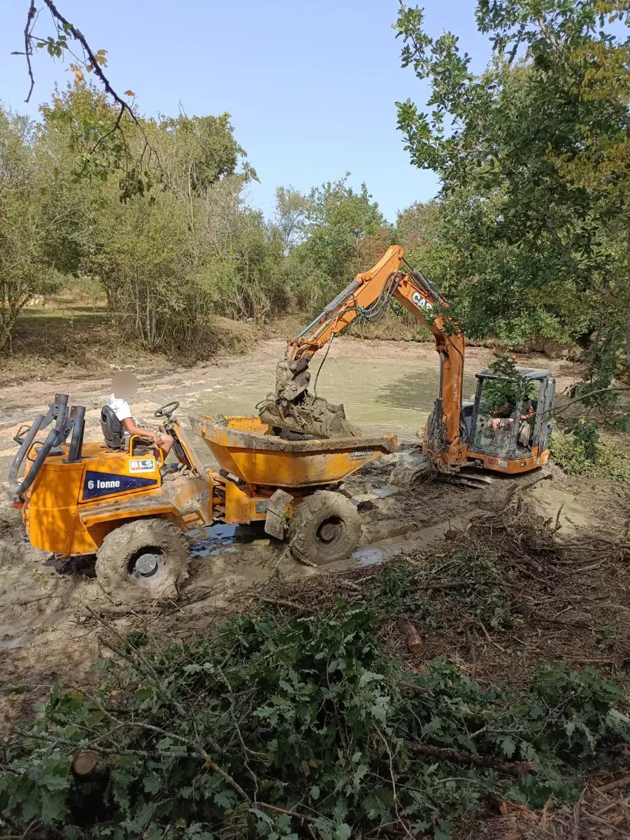 Dumper six tonnes et pelle mécanique chargeant souches et vase au bord d'un étang en eau basse