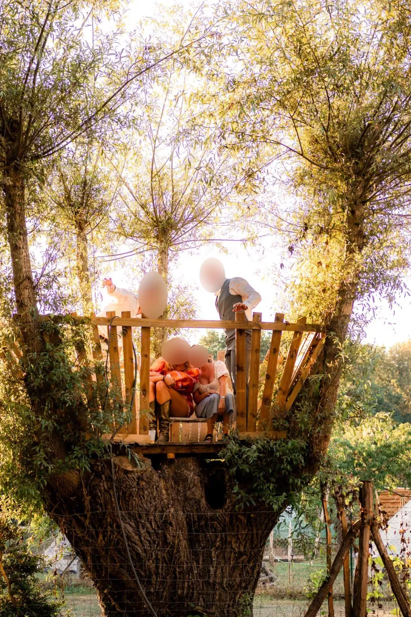 Cabane de bois construite dans la fourche d'un vieux saule têtard, occupée par des enfants, au soleil couchant